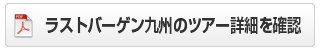 cA[ڍׂPDFŊmF