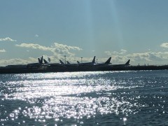 �H�c��`�P���N���[�Y